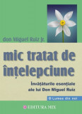Mic tratat de intelepciune | Don Miguel Ruiz, Mix