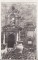 Foto  - 1