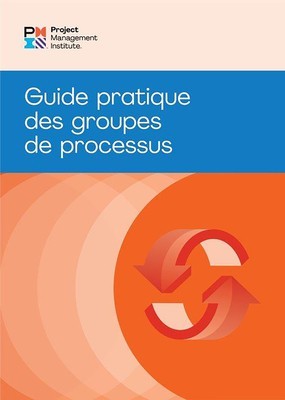 Process Groups: A Practice Guide (French) foto