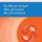 Process Groups: A Practice Guide (French)