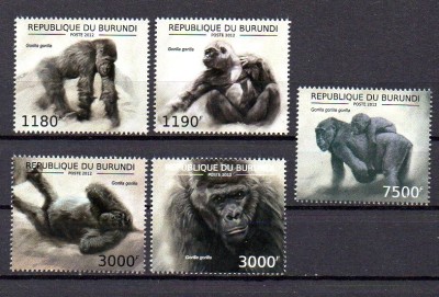 BURUNDI 2012, Fauna - Gorile, MNH foto