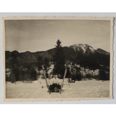 SCHIOR IN ZAPADA , FOTOGRAFIE , INTERBELICA