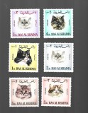 RAS AL KHAIMA PISICI MNH