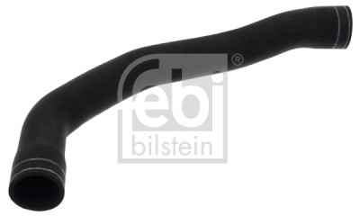 FEBI BILSTEIN 101070 Furtun radiator foto