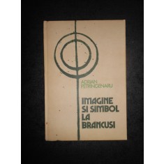 ADRIAN PETRINGENARU - IMAGINE SI SIMBOL LA BRANCUSI (1983, editie cartonata)