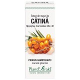 Extract Muguri Catina 50ml PlantExtrakt