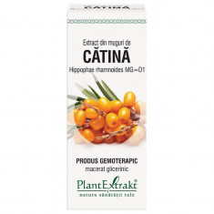 Extract Muguri Catina 50ml PlantExtrakt