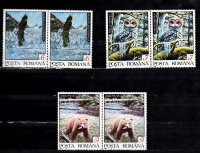 A11 TX9 12 - 1992 - Fauna din regiunile nordice - pereche de doua foto