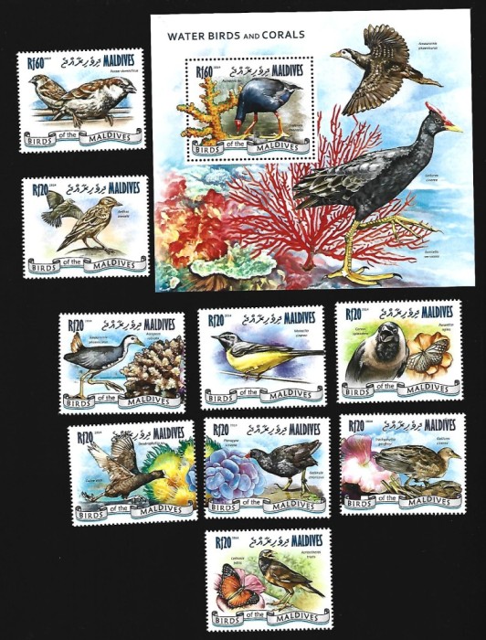 maldives pasari mnh