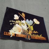 Cumpara ieftin CALENDAR 1997 CEC