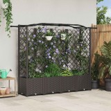 vidaXL Pat Ridicat cu Trellis și Acoperiș Maro 204 x 40 x 141 cm PP 42032514