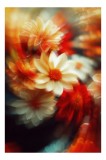Tablou Canvas Floristic Nuanțe Luminoase Artă Murală, 26 x 39 cm, CMCLASS