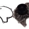 Pompa apa AUDI A4 Cabriolet (8H7, B6, 8HE, B7) (2002 - 2009) THERMOTEC D1W047TT