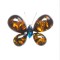 Brosa dama eleganta Pufo Mysterious butterfly, in forma de fluture, portocaliu/albastru