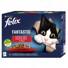 FELIX Fantastic selecție de pliculețe delicioase cu pui, vită, iepure și miel 12 x 85 g