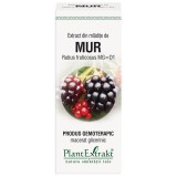 Extract Mladite Mur 50ml PlantExtrakt