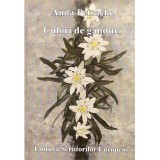 Anda Petrache - Culori de ganduri - dedicatie autoare - 138070