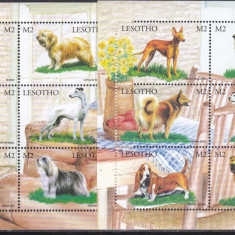 DB1 Fauna Domestica Lesotho Caini de Rasa 2 MS MNH