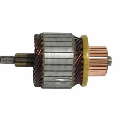 Rotor Electromotor Log./Sand. 1.5 (E3) 41384 30591 foto