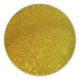 Cumpara ieftin Pigment make-up PT Gold