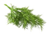 MARAR 0.4 GR, Agrosem