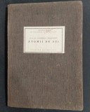 Atomii de azi - Gabriela Chaborski