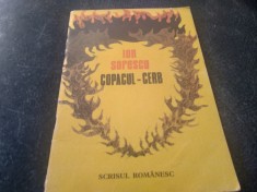 ION SORESCU - COPACUL CERB foto