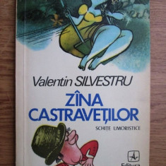 Valentin Silvestru - Zana castravetilor. Schite umoristice