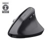 Mouse OfficeTrust Bayo+, Trust