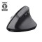 Mouse OfficeTrust Bayo+