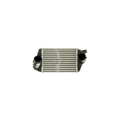 Intercooler Fiat Stilo Multi Wagon 192 Denso Dit09120 foto