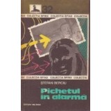 Pichetul in alarma