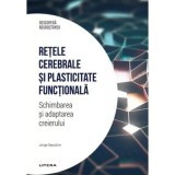 Retele cerebrale si plasticitate functionala. Schimbarea si adaptarea creierului. Volumul 25. Descopera Neurostiinta - Jorge Sepulcre