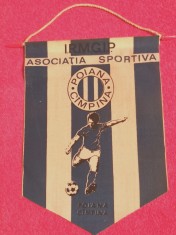 Fanion fotbal - AS &amp;quot;POIANA&amp;quot; CAMPINA foto