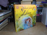 DOUA POVESTI CU ZANE , 2009 ( CARTONATA ) *