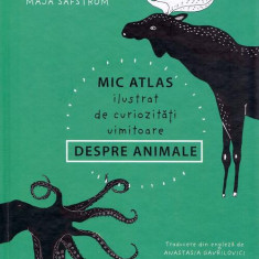 Mic atlas ilustrat de curiozități uimitoare despre animale - Hardcover - Maja Säfström - Cartier