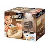 Kit de sapat - Craniu T-Rex, Buki France