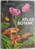 Atlas botanic &ndash; Lucia Popovici (Supracoperta putin uzata, 1985)