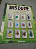 Cumpara ieftin REVISTA INSECTE REALE GHIDUL SERIEI DOAR REVISTA PENTRU COLECTIONARI