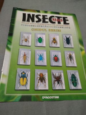 REVISTA INSECTE REALE GHIDUL SERIEI DOAR REVISTA PENTRU COLECTIONARI foto