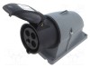 Conector AMPHENOL IP&amp;S 500VAC soclu mamă trifazat IP44 4 pini