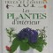 101 TRUCS ET CONSEILS , No. 5 : LES PLANTES D &#039; INTERIEUR , 1996
