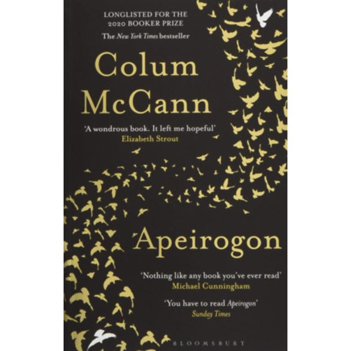 Apeirogon - Colum Mccann
