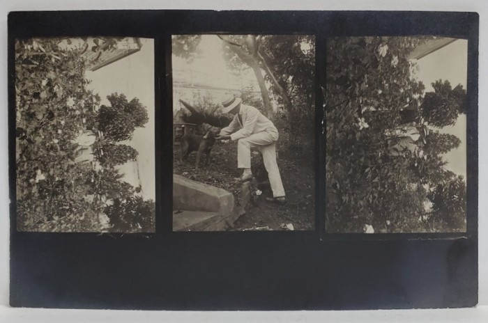 PICTORUL SAMUEL MUTZNER IMPREUNA CU TREI PRIETENI IN GRADINA DE TRANDAFIRI , FOTOMONTAJ DIN TREI FOTOGRAFII , FORMAT CARTE POSTALA , PERIOADA INTERBE
