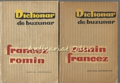 Dictionar De Buzunar Romin-Franceza, Francez-Romin - Ion Braescu foto