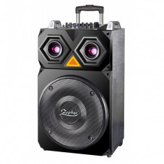 Boxa portabila karaoke Zephyr, 800 W, acumulator incorporat, bluetooth, 2 microfoane incluse foto