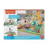 Cumpara ieftin Salteluta 3 in 1 Fisher Price