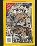 NATIONAL GEOGRAPHIC - CHEETAHS - DECEMBER 1999 (100 YEARS OF PHOTOGRAPHY)
