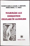 TULBURARI ALE ENERGETICII CELULARE IN ALCOOLISM-E. NAUM, M. SELARU, P. BOISTEANU, D. DONCIU, T.C. ROSCA-259660