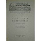 Ion Camarescu - Cultura porumbului (Editia: 1933)